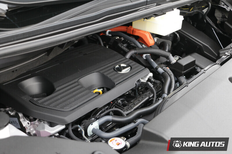 台灣市場上的新世代LM305h與Toyota Alphard共享由2.5升直列4缸自然進氣引擎(A25A-FXS)組成的油電動力系統，匹配E-CVT無段變速系統、標配E-Four 4WD電子式四輪傳動系統。綜效輸出同為250匹/24.4公斤米。