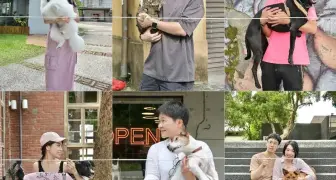 華山展覽｜2025華山好市 動物森園會，從攝影藝術展到主題市集，邀民眾帶毛孩一起Say Cheese 共創城市之友善動物生活圈