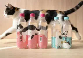 飲料零食｜貓之日掀熱潮！Cheers氣泡水貓咪主題包裝登場　貓奴必收藏