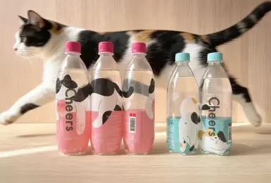飲料零食｜貓之日掀熱潮！Cheers氣泡水貓咪主題包裝登場　貓奴必收藏