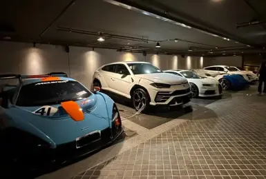 太子集團法拍名車｜McLaren Senna