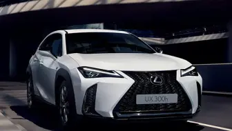 300h F SPORT Design 版